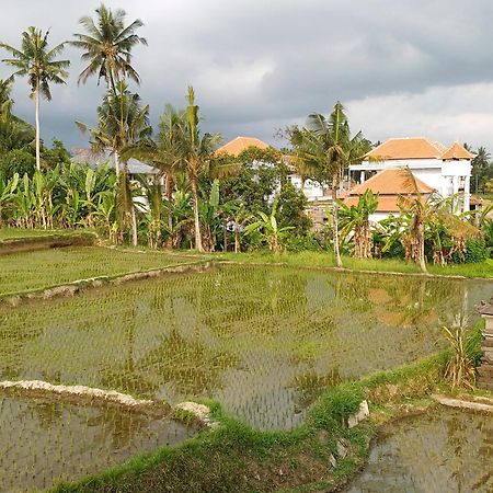 Villa Lanus Ubud Eksteriør bilde