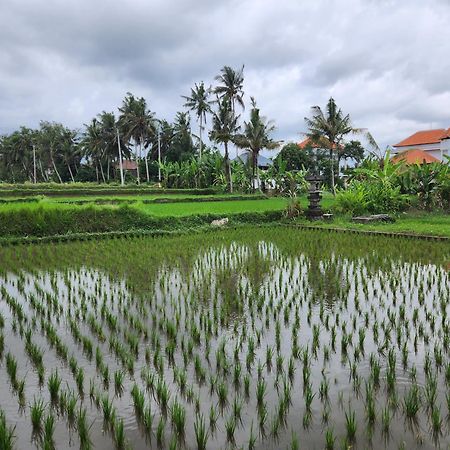 Villa Lanus Ubud Eksteriør bilde