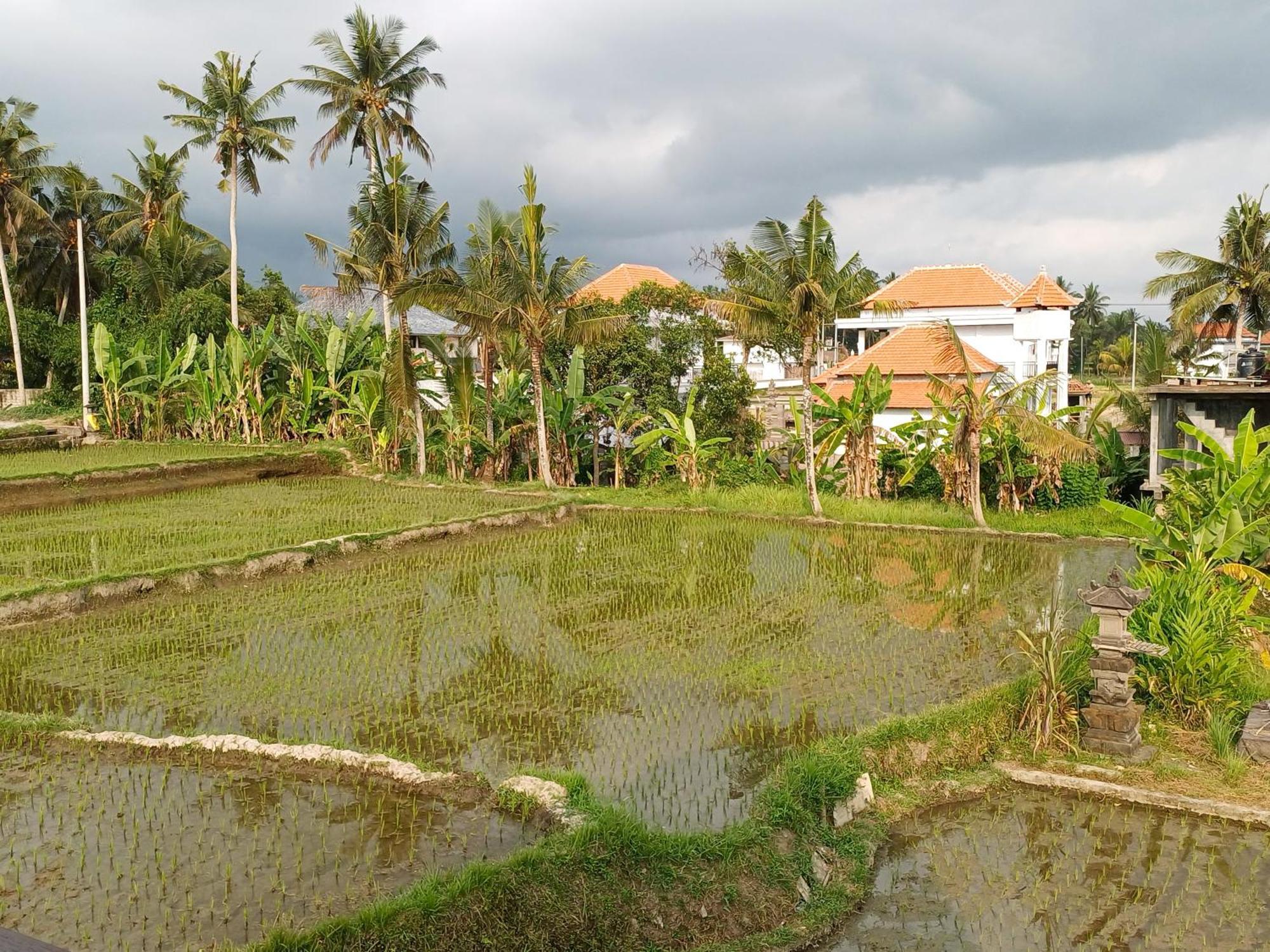 Villa Lanus Ubud Eksteriør bilde