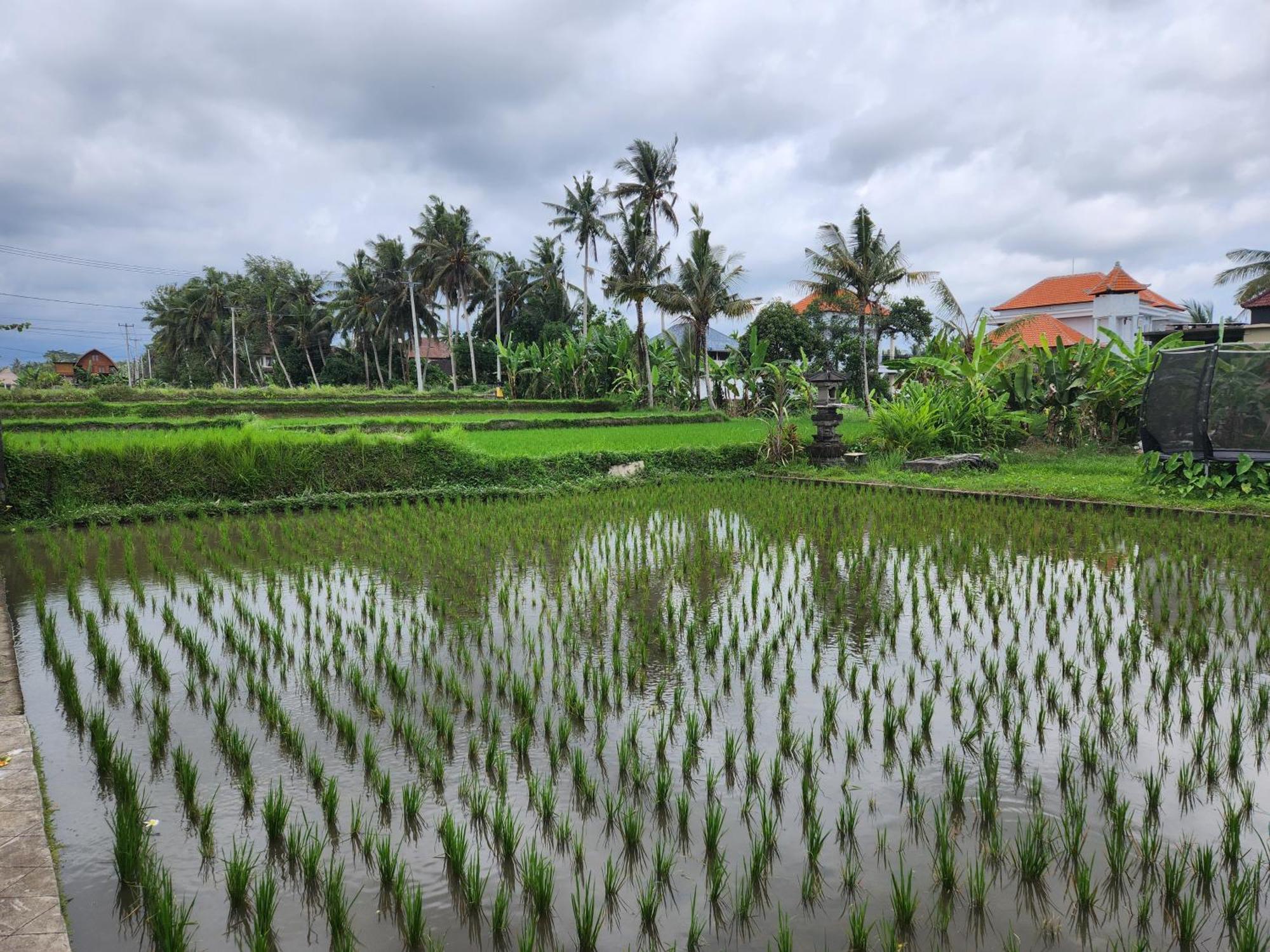 Villa Lanus Ubud Eksteriør bilde